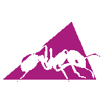 Ant Logo | A2 Hosting