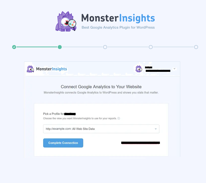 Connect Google Analytics with MonsterInsights completion